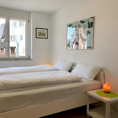 Apartman 1st Floor - Hochwertige Mit Balkon Und Aufzug Lindau